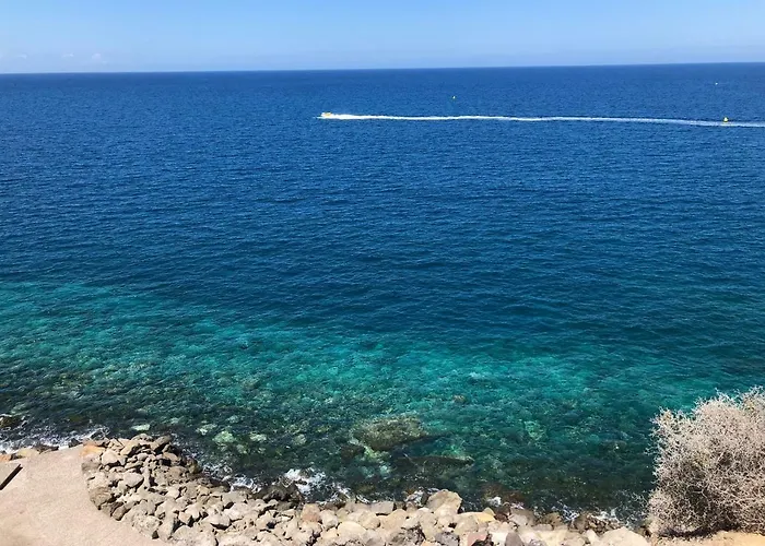 Donana 924