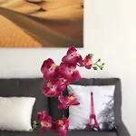 Donana 924 Apartman