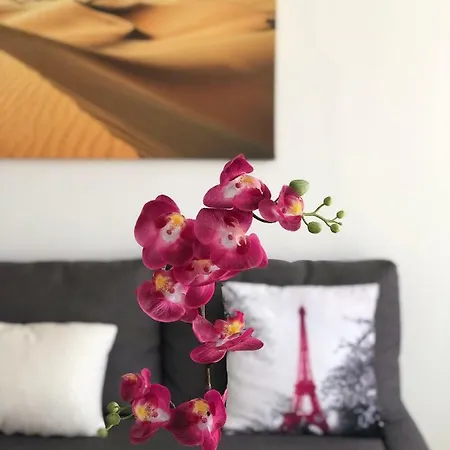 Donana 924 아파트